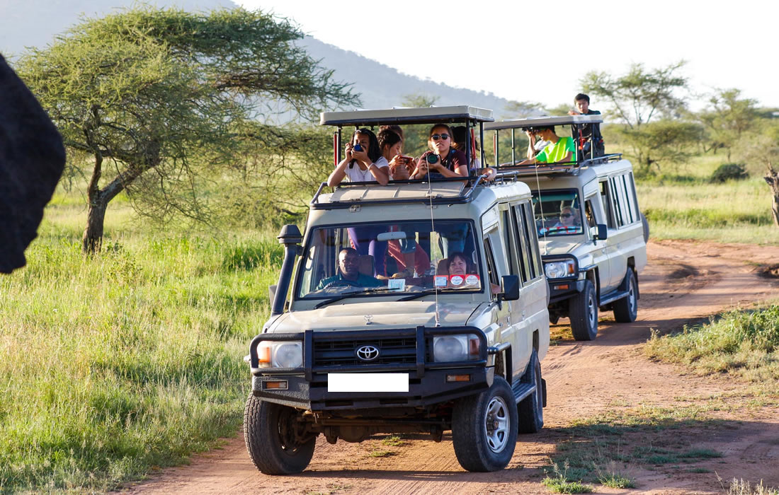 Tanzania Safaris