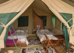 Whistling Thorn Tented Camp
