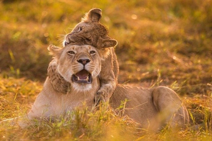 lake manyara national Park