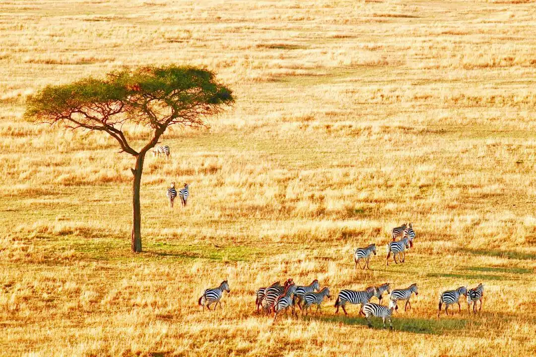 Serengeti National Park