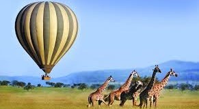 Balloon Safari