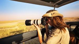 Photographic Safari