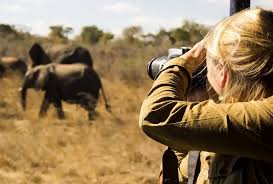 Serengeti Photography