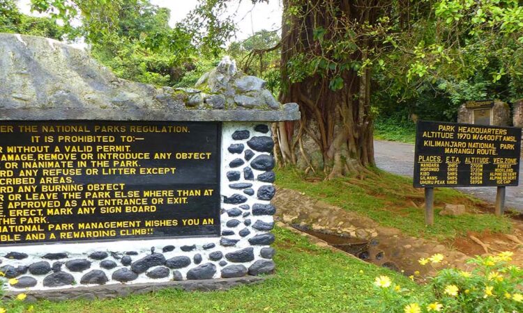 Kilimanjaro Training