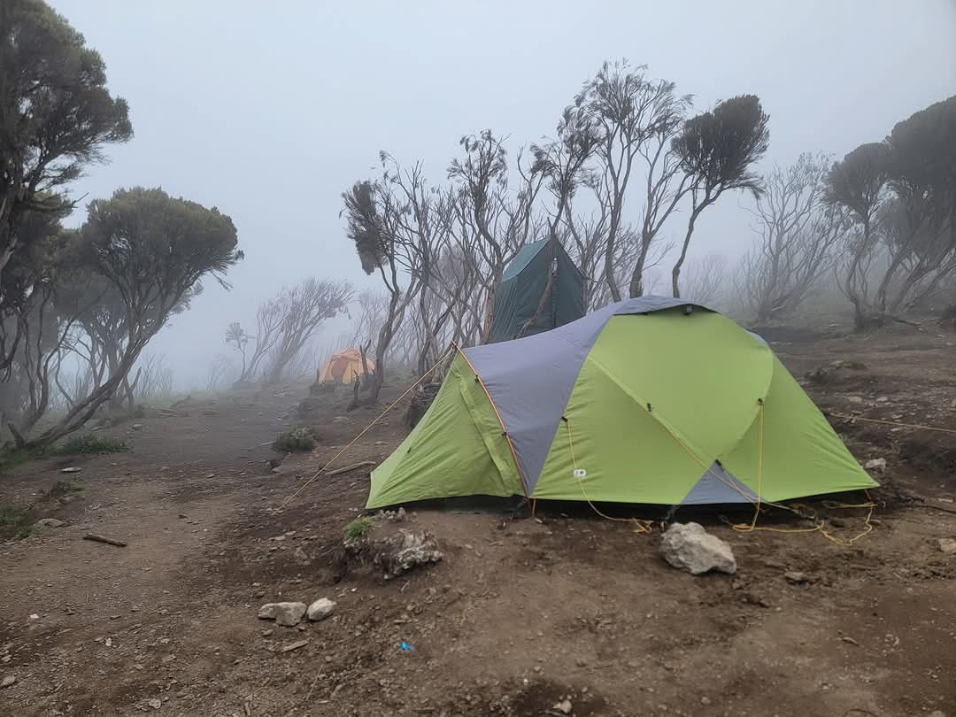 Kilimanjaro Lemosho Route